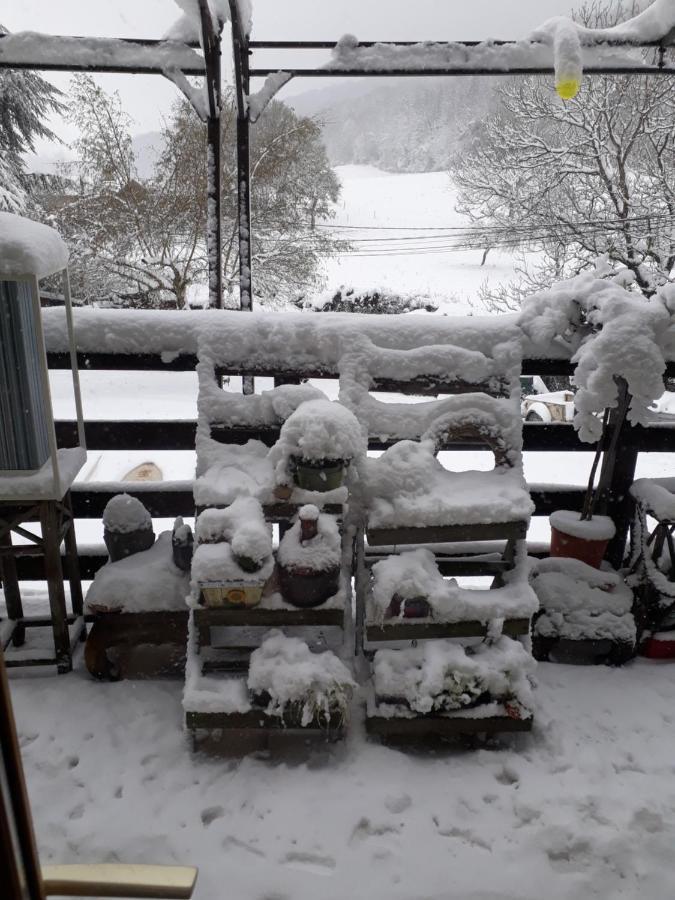 Chalet Norev Saint-Martin-du-Mont エクステリア 写真